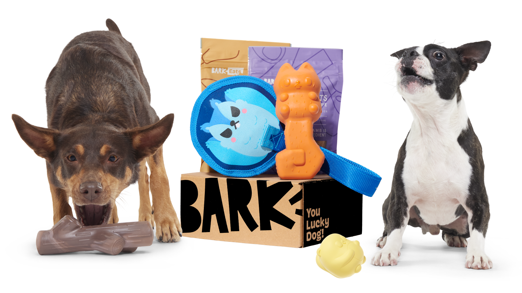 Give the Gift of Super Chewer | BarkBox